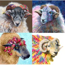 sheep coasters